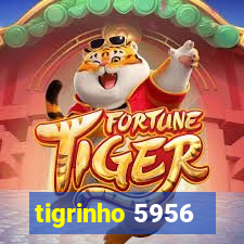 tigrinho 5956